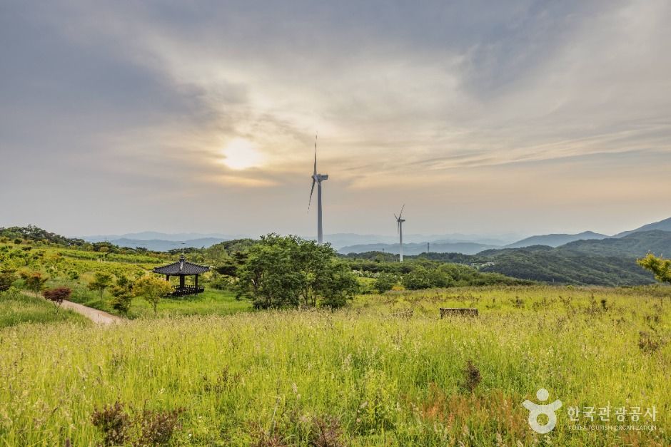 경주 풍력발전(바람의언덕) 여행 추천 - 메고지고 경주 풍력발전(바람의언덕) 여행 추천 - 메고지고