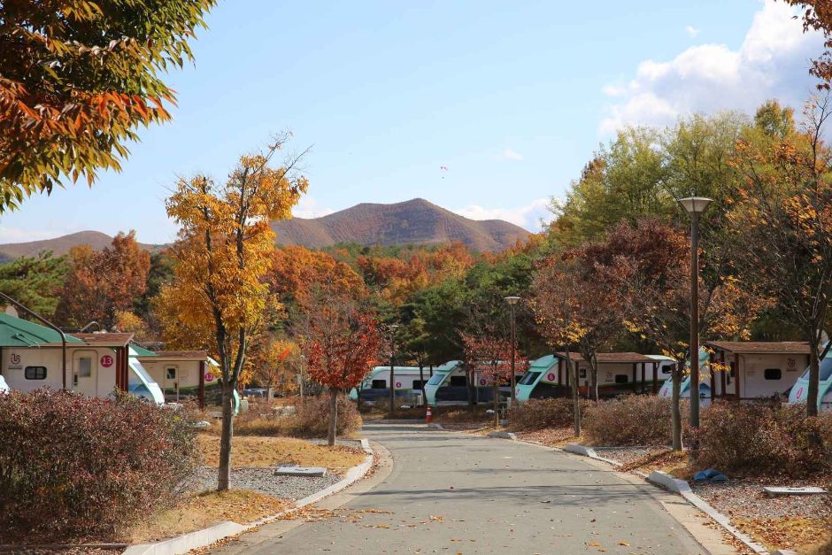 단호샌드파크캠핑장 여행 추천 - 메고지고 단호샌드파크캠핑장 여행 추천 - 메고지고