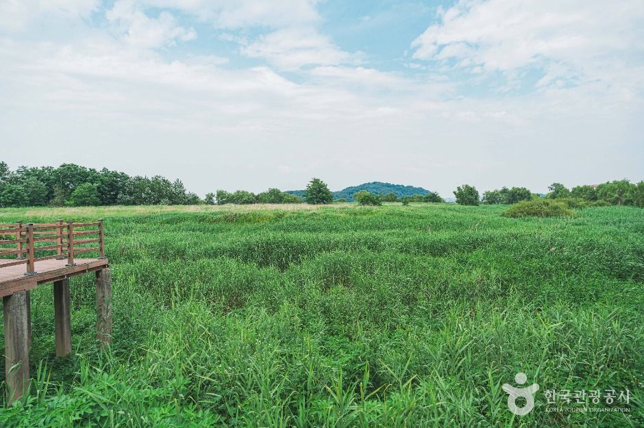 강서한강공원 여행 추천 - 메고지고