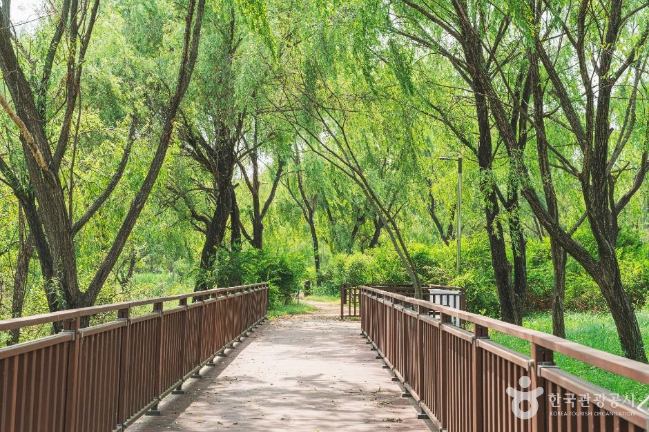 강서한강공원 여행 추천 - 메고지고
