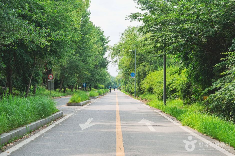 강서한강공원 여행 추천 - 메고지고
