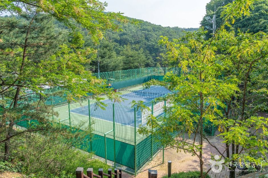 성주산생활체육공원 여행 추천 - 메고지고