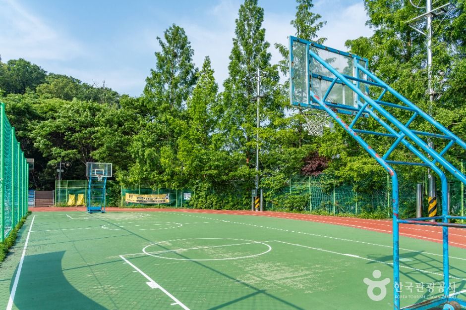 성주산생활체육공원 여행 추천 - 메고지고