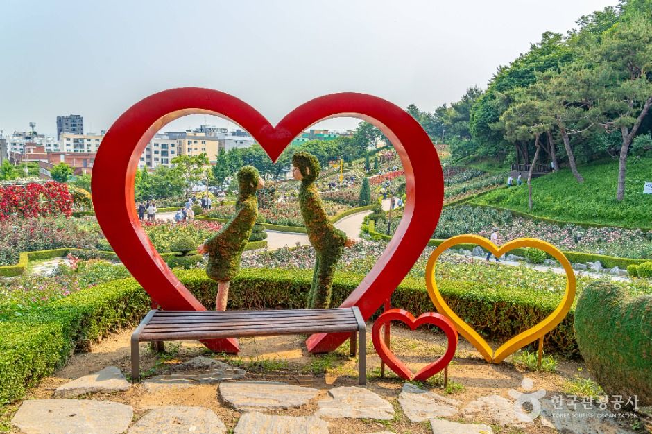 백만송이장미원 여행 추천 - 메고지고 백만송이장미원 여행 추천 - 메고지고