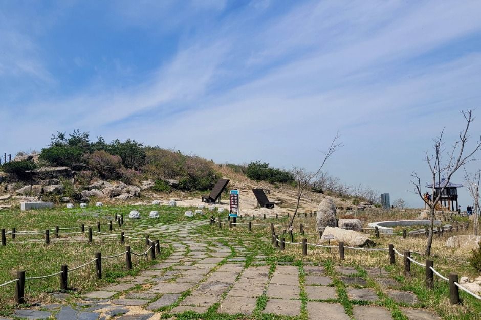 팔공산하늘정원 여행 추천 - 메고지고 팔공산하늘정원 여행 추천 - 메고지고