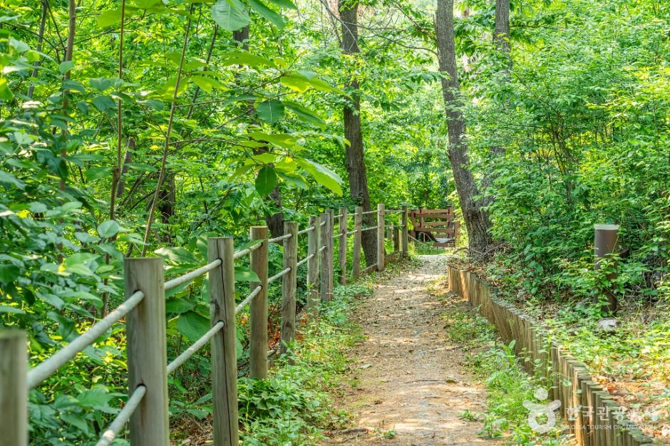 역곡공원 여행 추천 - 메고지고 역곡공원 여행 추천 - 메고지고