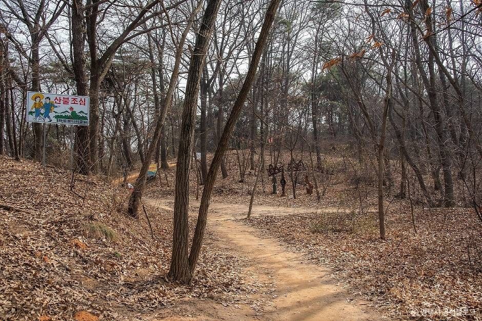 마안산 여행 추천 - 메고지고 마안산 여행 추천 - 메고지고