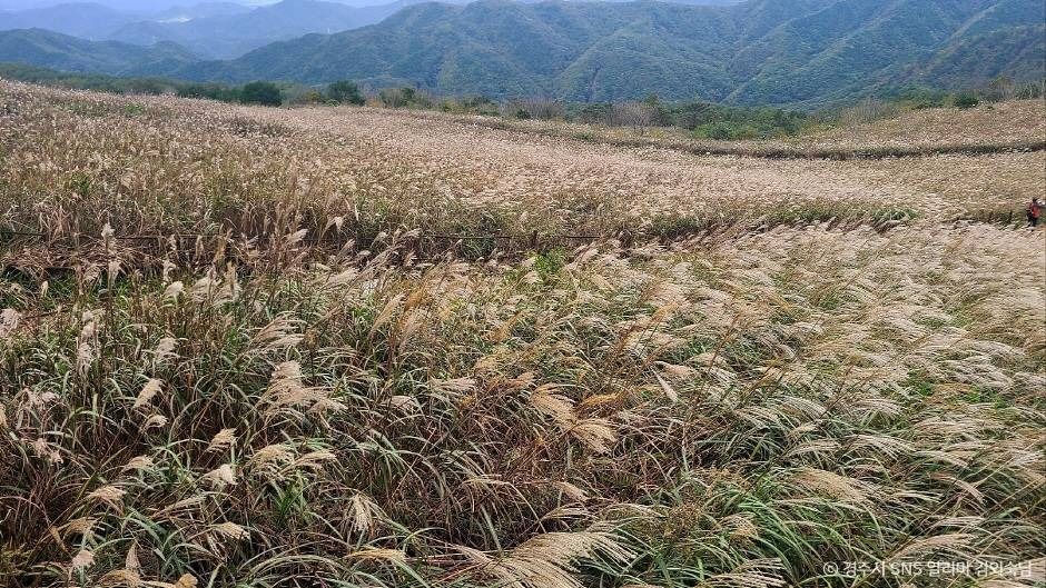 무장산 여행 추천 - 메고지고