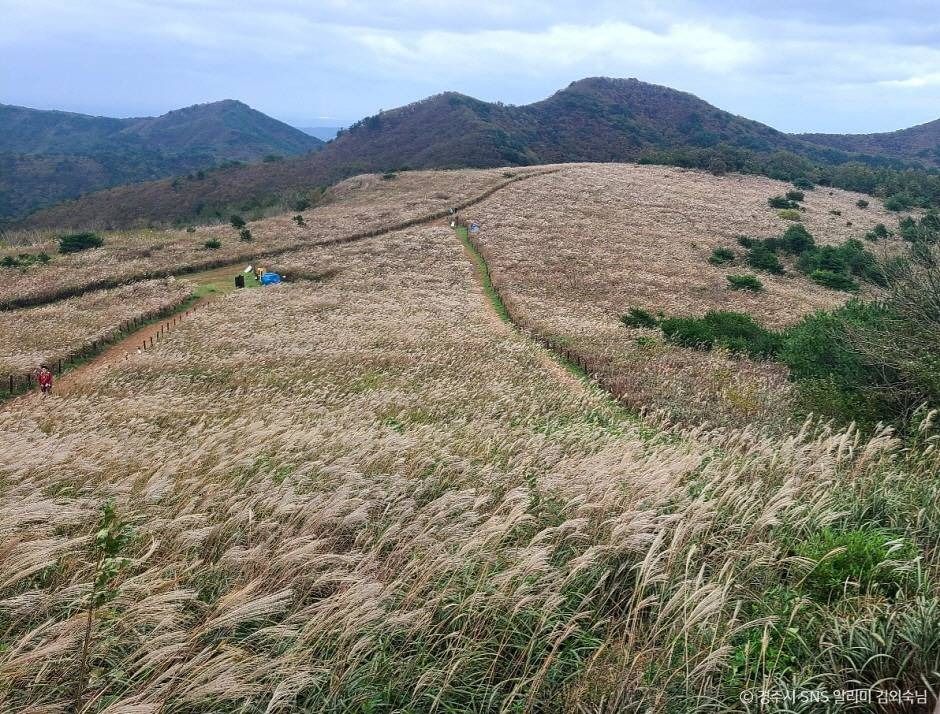 무장산 여행 추천 - 메고지고