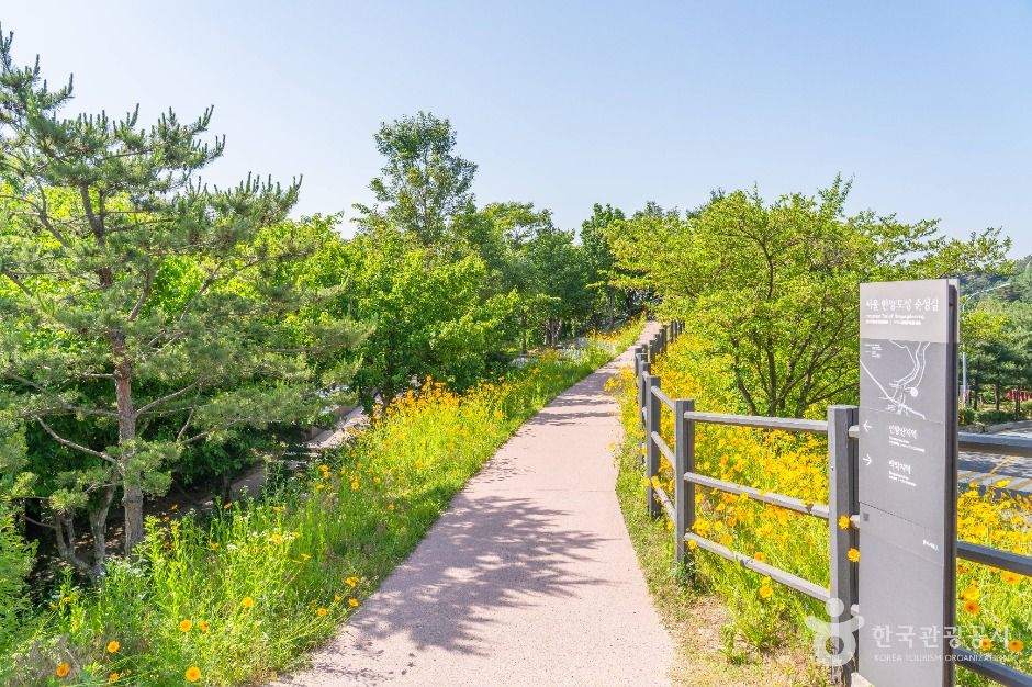 청운공원 여행 추천 - 메고지고 청운공원 여행 추천 - 메고지고