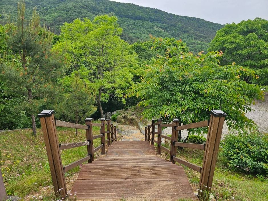 천보산 자연휴양림 여행 추천 - 메고지고