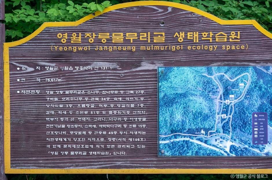 물무리골생태습지 여행 추천 - 메고지고