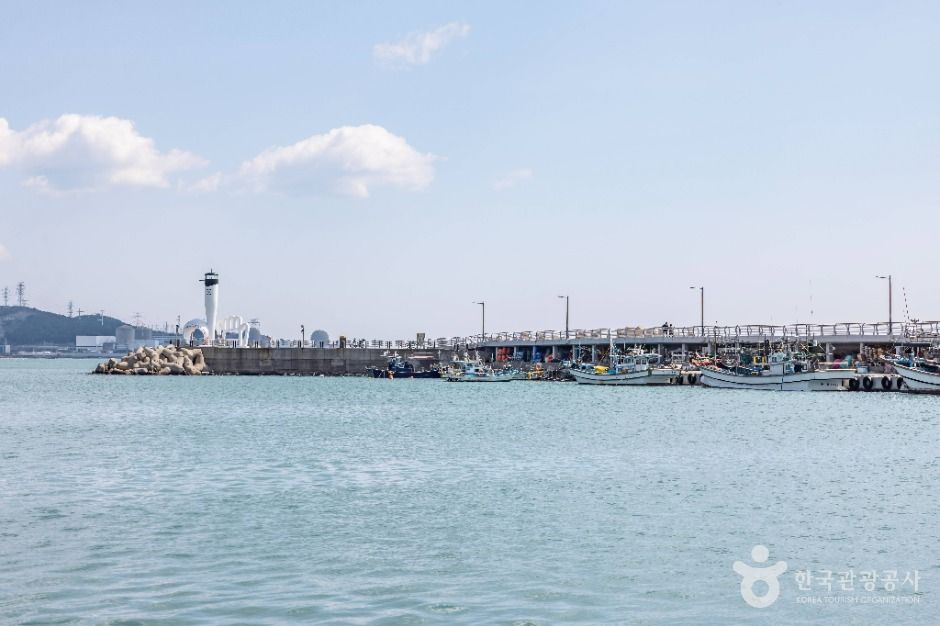 칠암항 여행 추천 - 메고지고 칠암항 여행 추천 - 메고지고