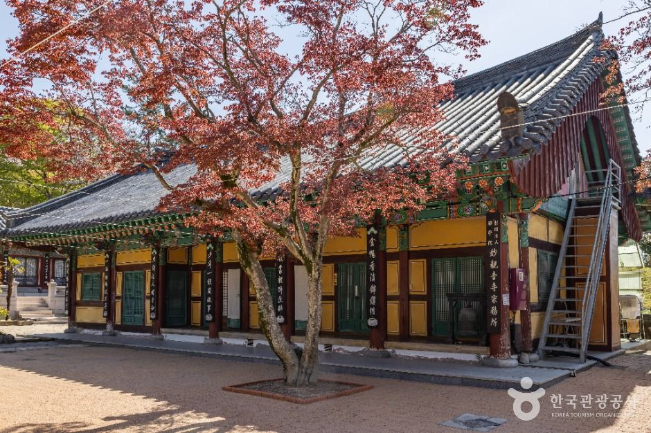 묘관음사 여행 추천 - 메고지고 묘관음사 여행 추천 - 메고지고