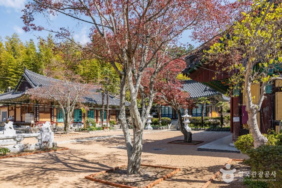 묘관음사 여행 추천 - 메고지고 묘관음사 여행 추천 - 메고지고