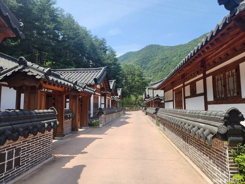 삼척활기자연휴양림 여행 추천 - 메고지고