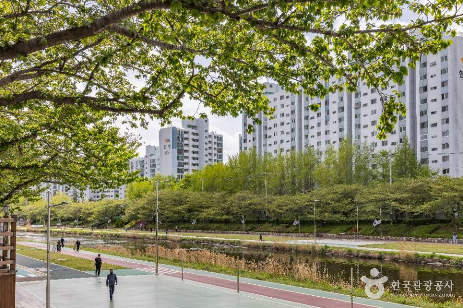 온천천시민공원 여행 추천 - 메고지고 온천천시민공원 여행 추천 - 메고지고