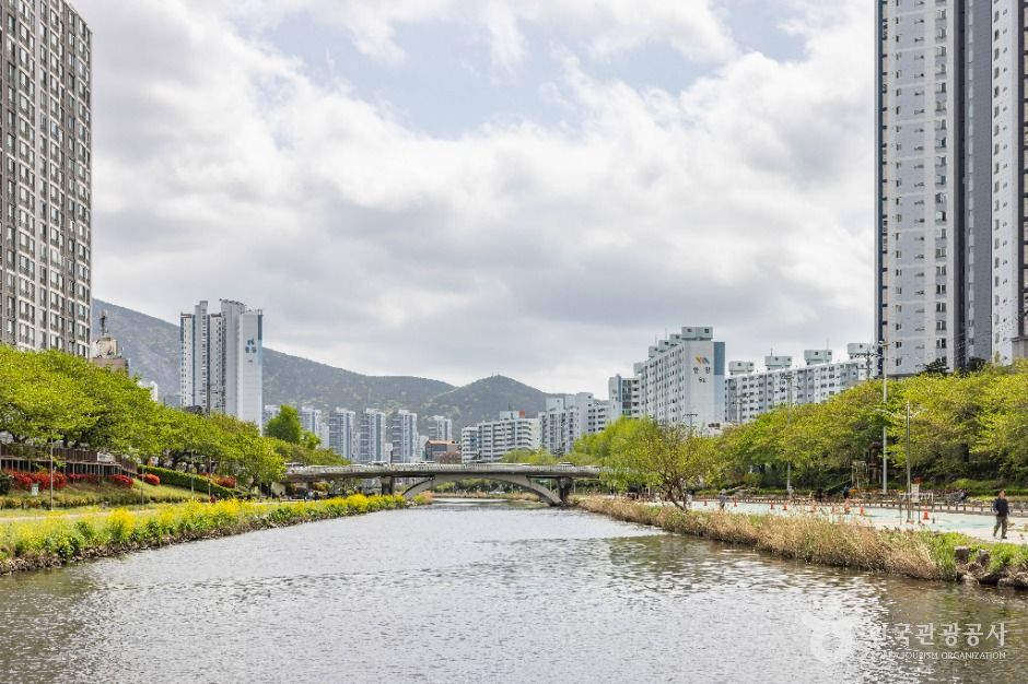 온천천시민공원 여행 추천 - 메고지고 온천천시민공원 여행 추천 - 메고지고