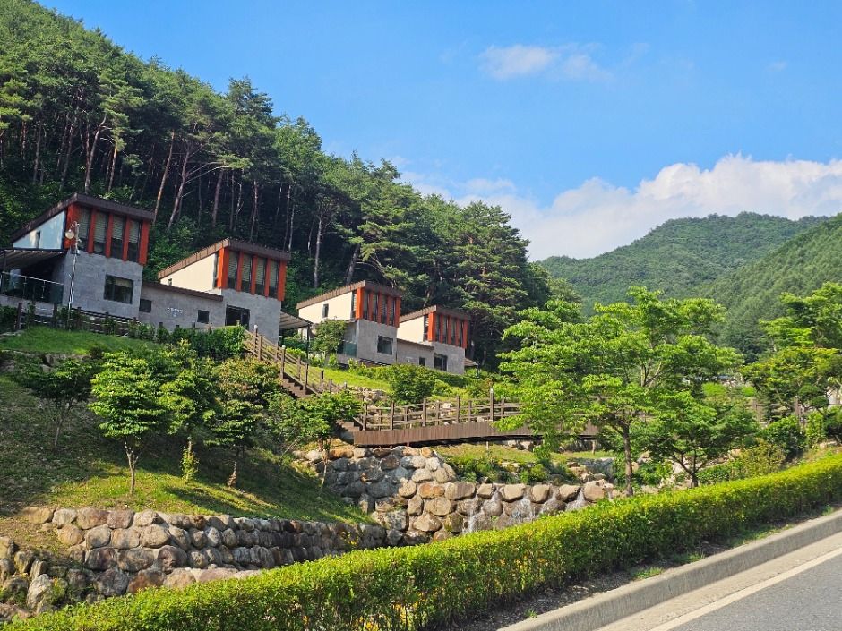 문수산자연휴양림 여행 추천 - 메고지고 문수산자연휴양림 여행 추천 - 메고지고