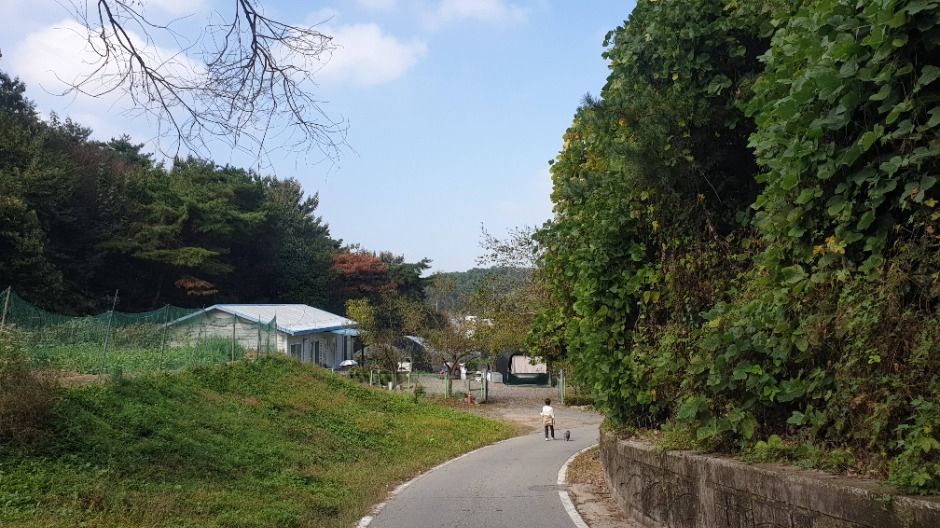 [경기옛길 평해길 제3길] 정약용길 여행 추천 - 메고지고