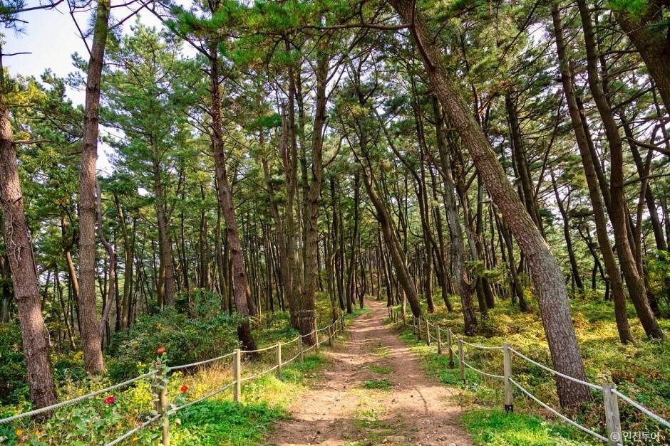 승봉산림욕장 여행 추천 - 메고지고 승봉산림욕장 여행 추천 - 메고지고