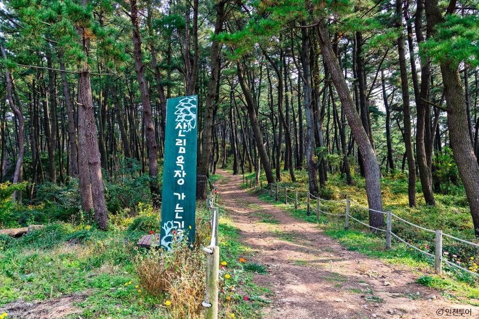 승봉산림욕장 여행 추천 - 메고지고 승봉산림욕장 여행 추천 - 메고지고
