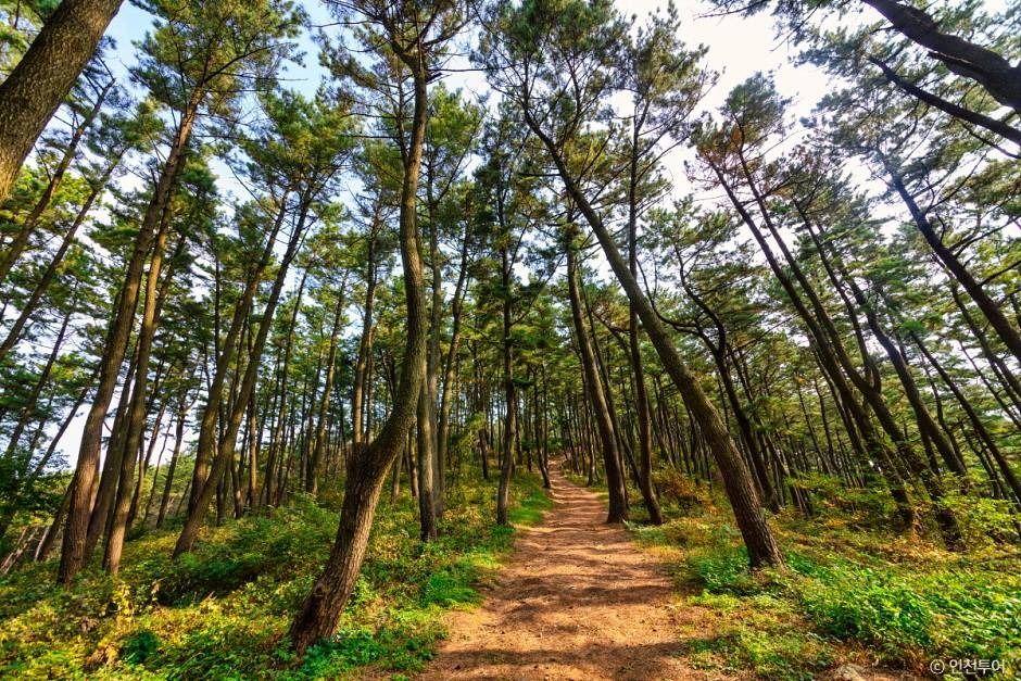 승봉산림욕장 여행 추천 - 메고지고 승봉산림욕장 여행 추천 - 메고지고