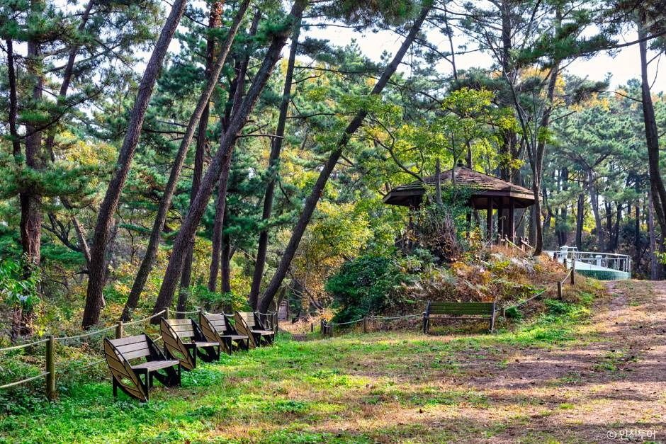 승봉산림욕장 여행 추천 - 메고지고 승봉산림욕장 여행 추천 - 메고지고