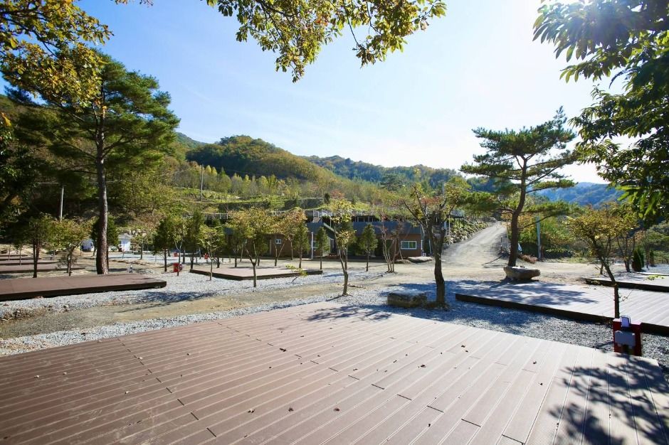 오도치캠핑장 여행 추천 - 메고지고 오도치캠핑장 여행 추천 - 메고지고