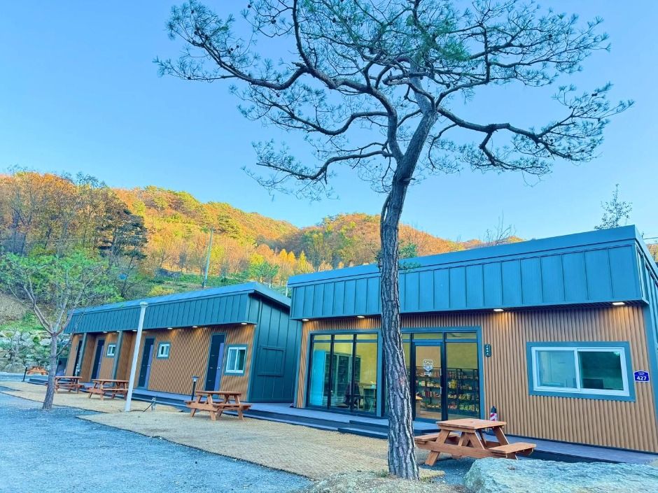 오도치캠핑장 여행 추천 - 메고지고 오도치캠핑장 여행 추천 - 메고지고