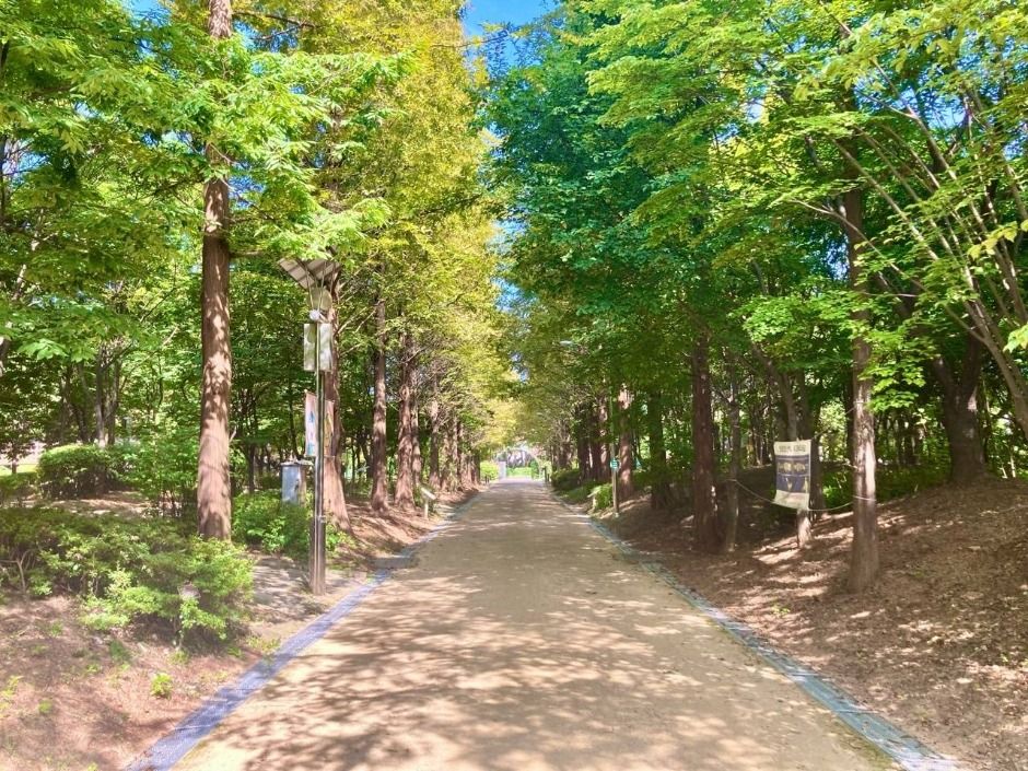 [시흥 늠내길 4코스] 바람길 여행 추천 - 메고지고