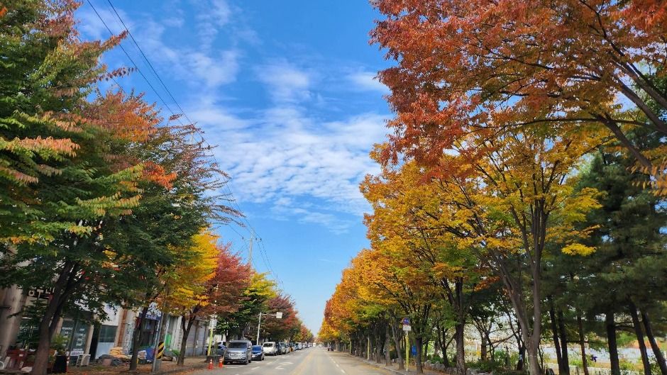 [시흥 늠내길 5코스] 정왕둘레길 여행 추천 - 메고지고