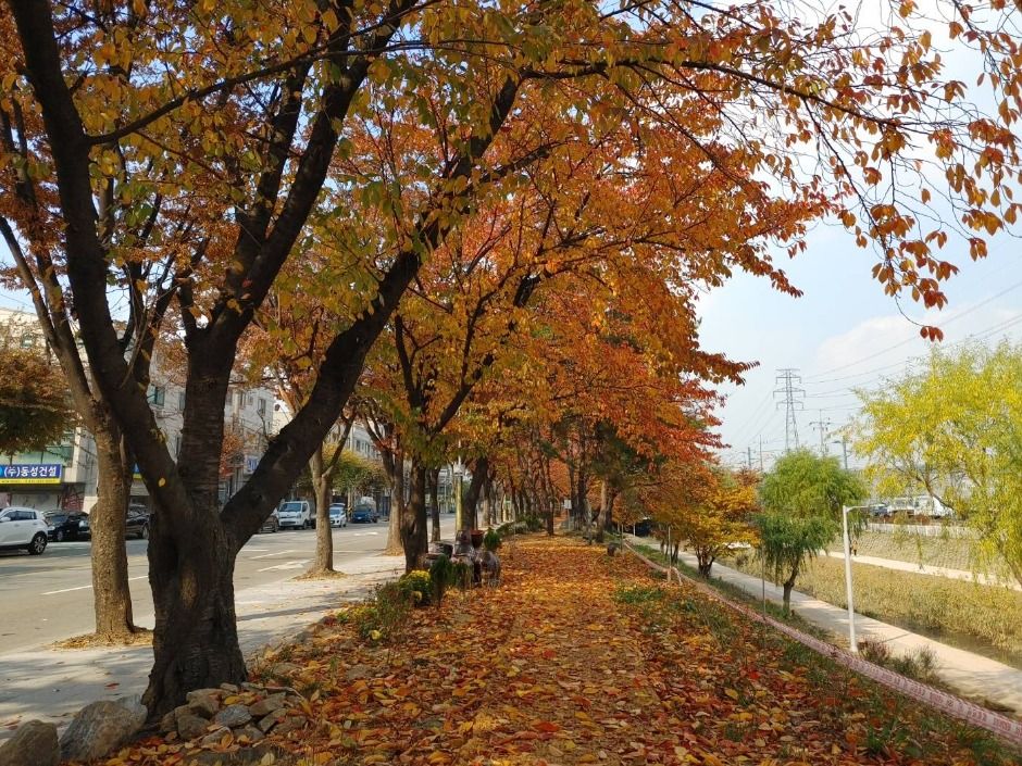 [시흥 늠내길 5코스] 정왕둘레길 여행 추천 - 메고지고