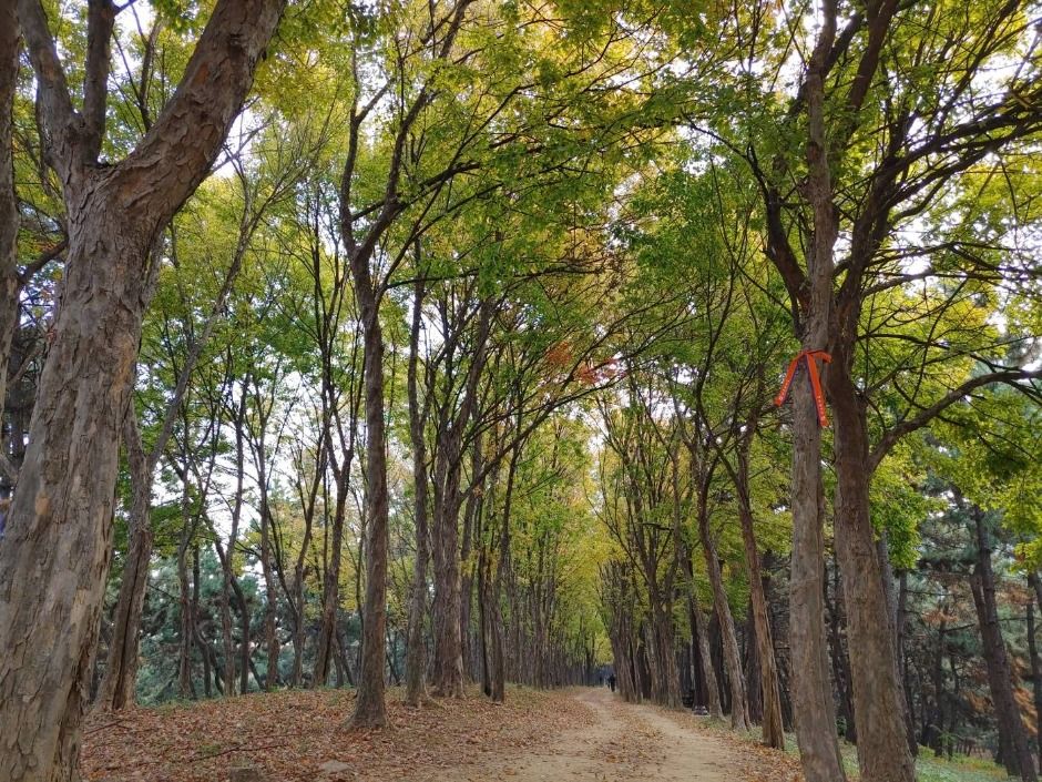 [시흥 늠내길 5코스] 정왕둘레길 여행 추천 - 메고지고