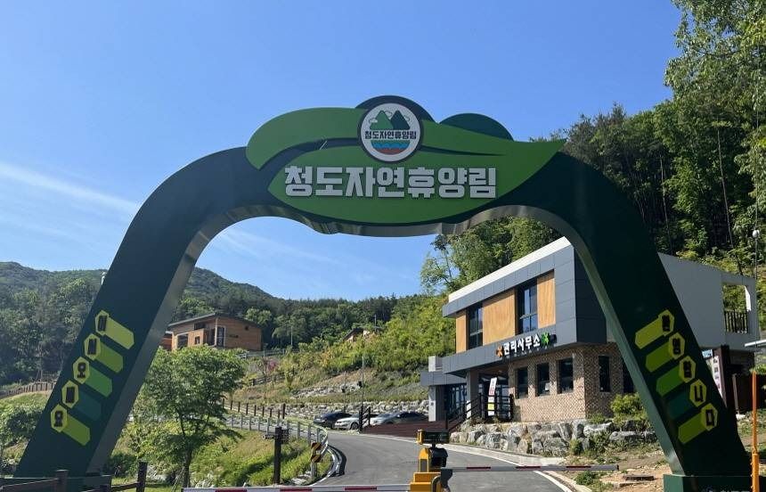 청도자연휴양림 여행 추천 - 메고지고 청도자연휴양림 여행 추천 - 메고지고