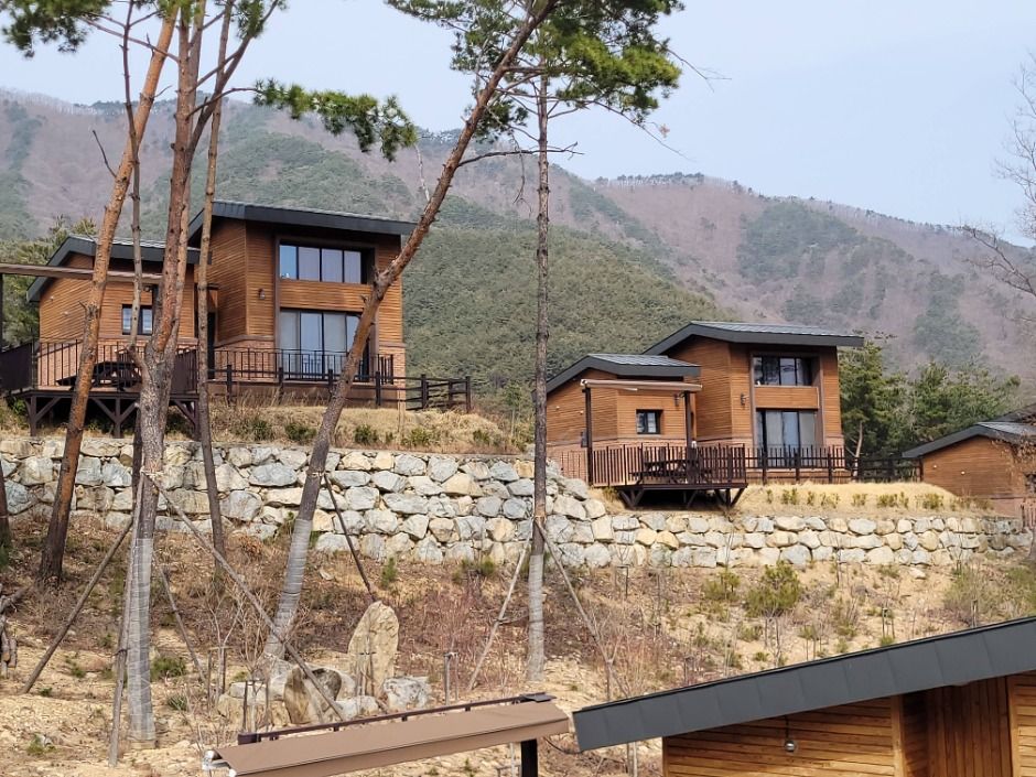 청도자연휴양림 여행 추천 - 메고지고 청도자연휴양림 여행 추천 - 메고지고
