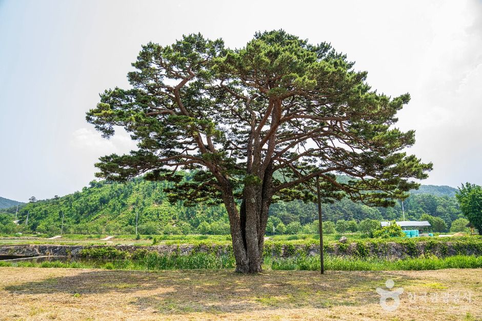 함양 목현리 구송 여행 추천 - 메고지고 함양 목현리 구송 여행 추천 - 메고지고