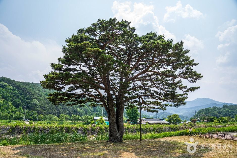 함양 목현리 구송 여행 추천 - 메고지고 함양 목현리 구송 여행 추천 - 메고지고