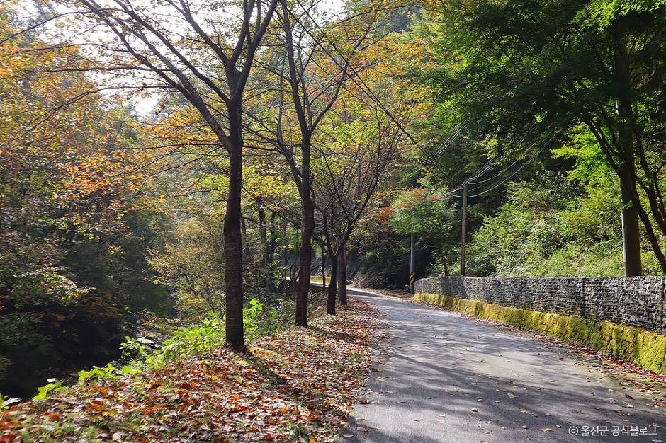 국립 통고산자연휴양림 여행 추천 - 메고지고