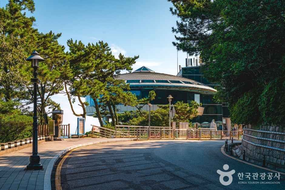 태종대 여행 추천 - 메고지고 태종대 여행 추천 - 메고지고