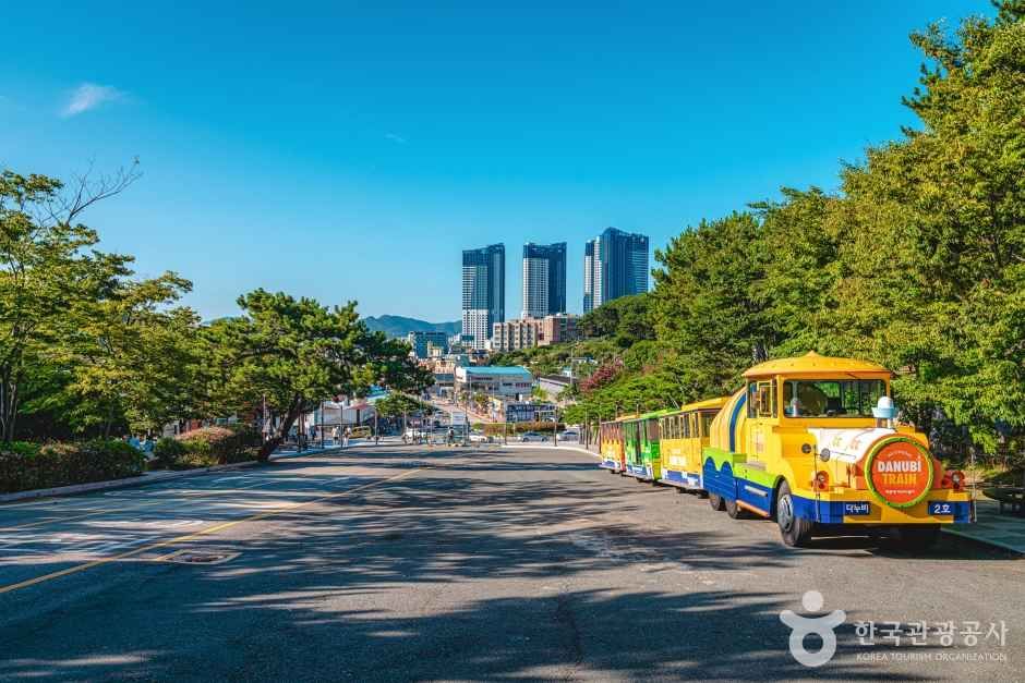 태종대 여행 추천 - 메고지고 태종대 여행 추천 - 메고지고