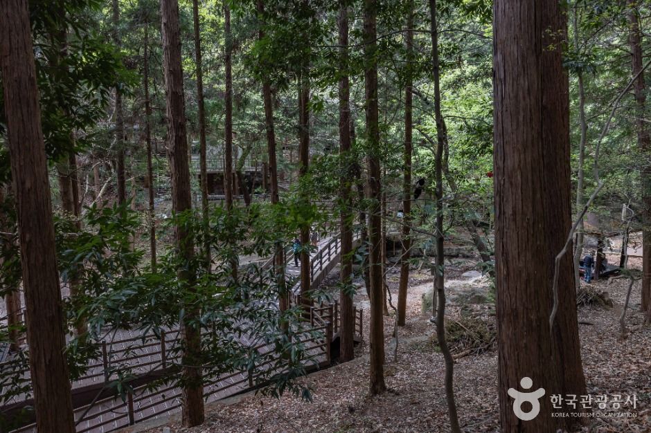 성지곡수원지 여행 추천 - 메고지고 성지곡수원지 여행 추천 - 메고지고
