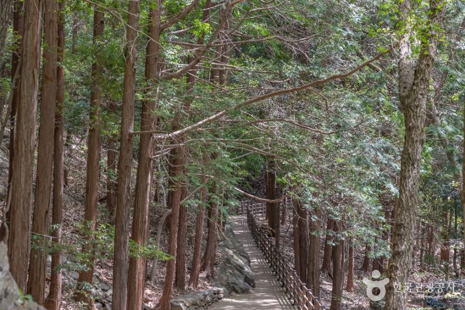 성지곡수원지 여행 추천 - 메고지고 성지곡수원지 여행 추천 - 메고지고