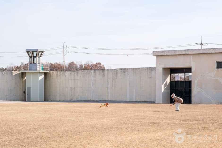 익산교도소세트장 여행 추천 - 메고지고 익산교도소세트장 여행 추천 - 메고지고