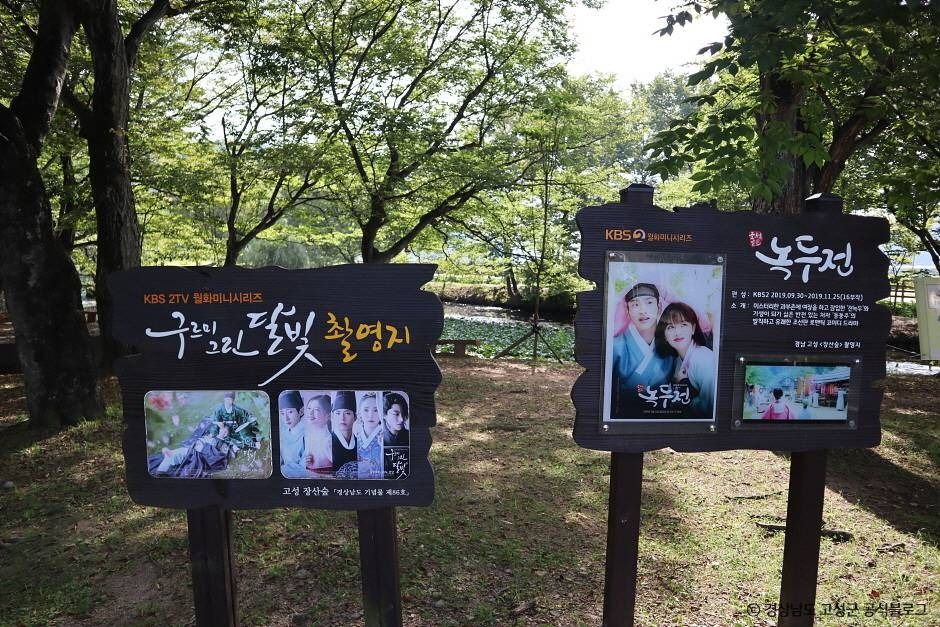 고성 장산숲 여행 추천 - 메고지고