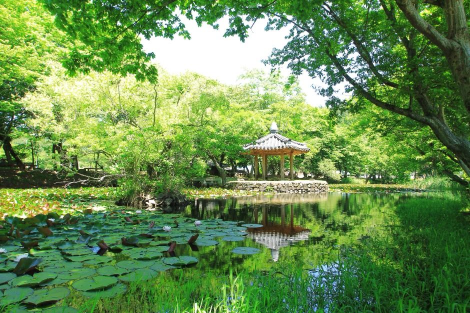 고성 장산숲 여행 추천 - 메고지고