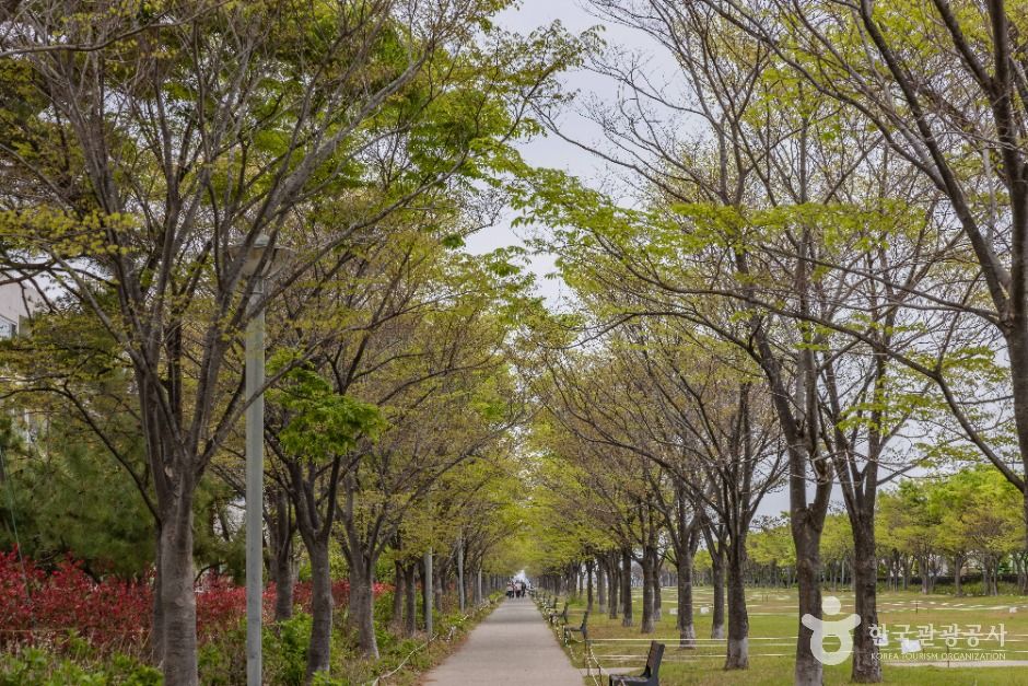 아미르공원 여행 추천 - 메고지고 아미르공원 여행 추천 - 메고지고