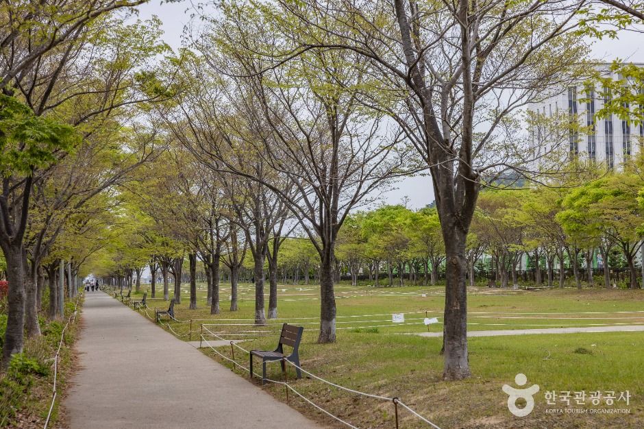 아미르공원 여행 추천 - 메고지고 아미르공원 여행 추천 - 메고지고