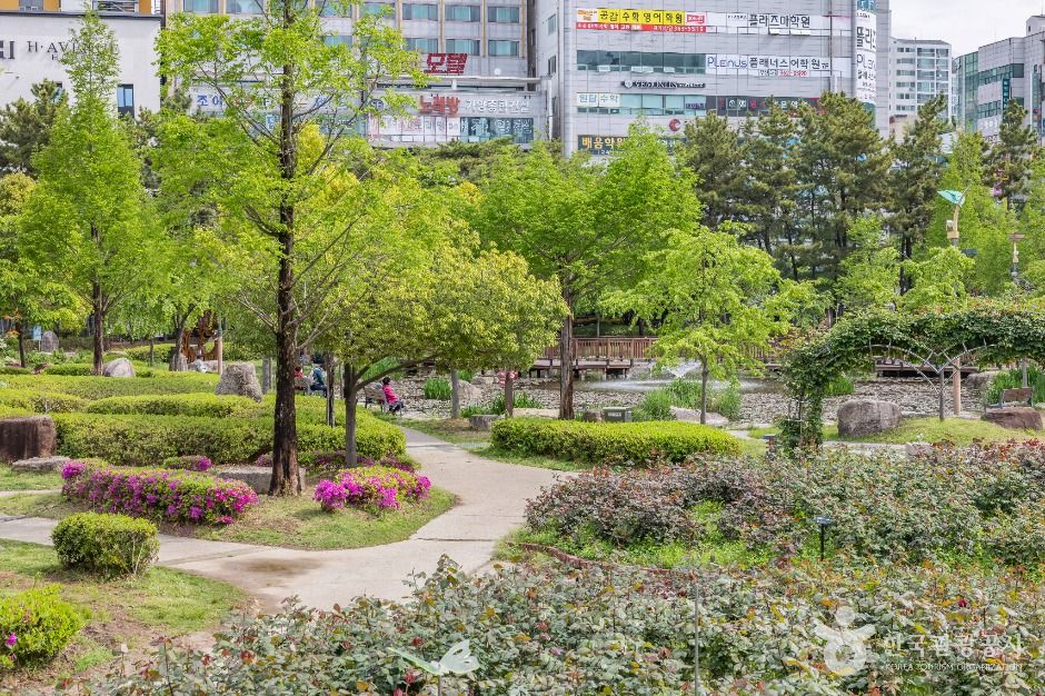 장미원 여행 추천 - 메고지고 장미원 여행 추천 - 메고지고