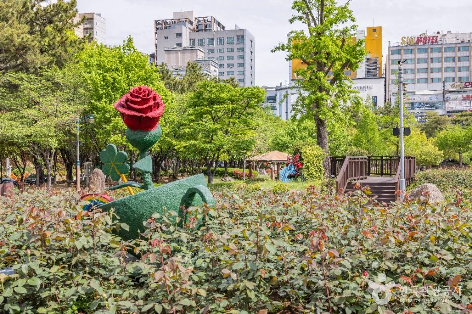 장미원 여행 추천 - 메고지고 장미원 여행 추천 - 메고지고